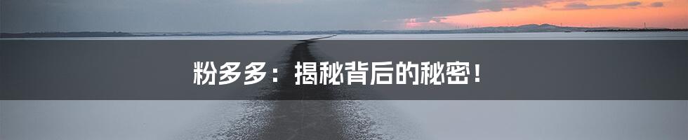 粉多多:揭秘背后的秘密!