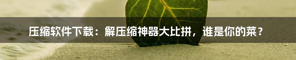 压缩软件下载:解压缩神器大比拼,谁是你的菜?