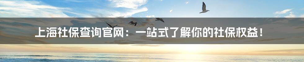 上海社保查询官网:一站式了解你的社保权益!