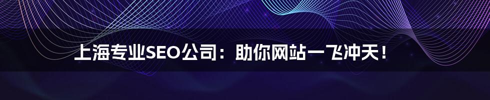 上海专业SEO公司:助你网站一飞冲天!