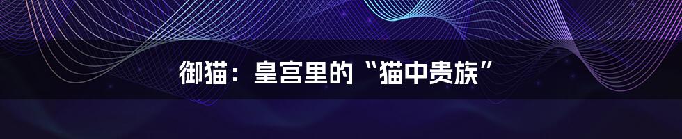 御猫:皇宫里的“猫中贵族”
