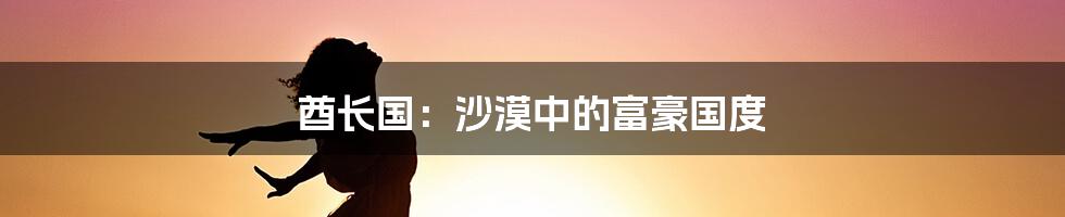 酋长国:沙漠中的富豪国度