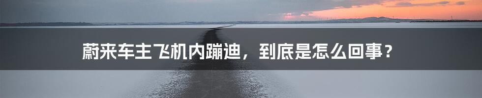 蔚来车主飞机内蹦迪,到底是怎么回事?