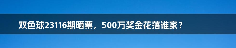 双色球23116期晒票,500万奖金花落谁家?
