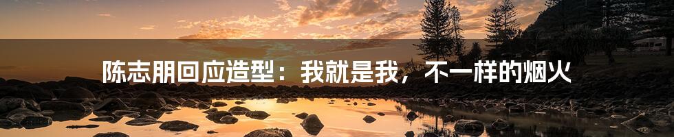 陈志朋回应造型:我就是我,不一样的烟火