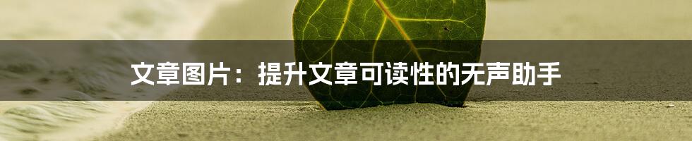 文章图片：提升文章可读性的无声助手