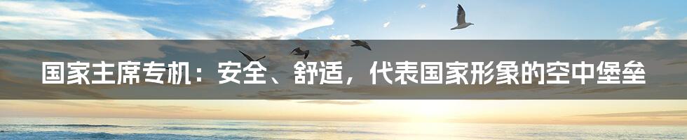 国家主席专机:安全、舒适,代表国家形象的空中堡垒