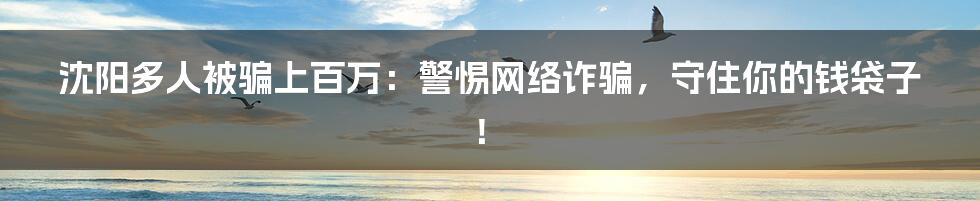 沈阳多人被骗上百万:警惕网络诈骗,守住你的钱袋子!
