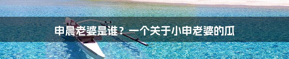 申晨老婆是谁?一个关于小申老婆的瓜