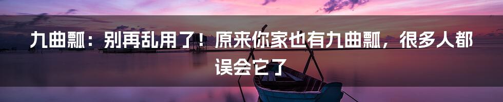 九曲瓢:别再乱用了!原来你家也有九曲瓢,很多人都误会它了