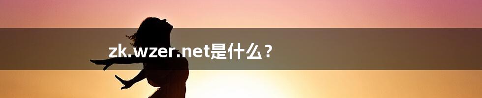 zk.wzer.net是什么?