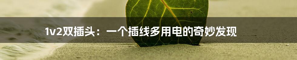1v2双插头:一个插线多用电的奇妙发现