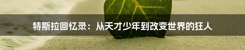特斯拉回忆录:从天才少年到改变世界的狂人