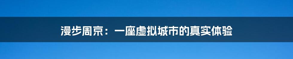 漫步周京:一座虚拟城市的真实体验