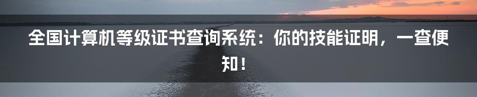 全国计算机等级证书查询系统：你的技能证明，一查便知！