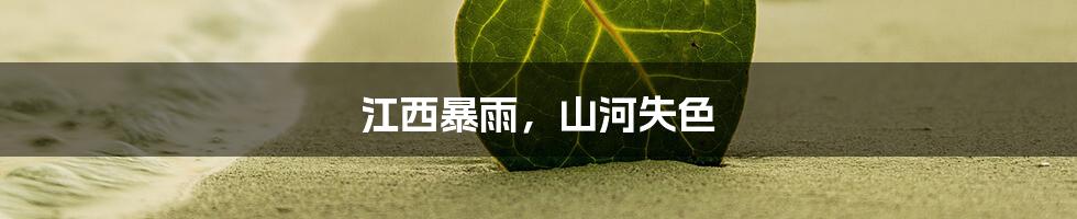 江西暴雨,山河失色