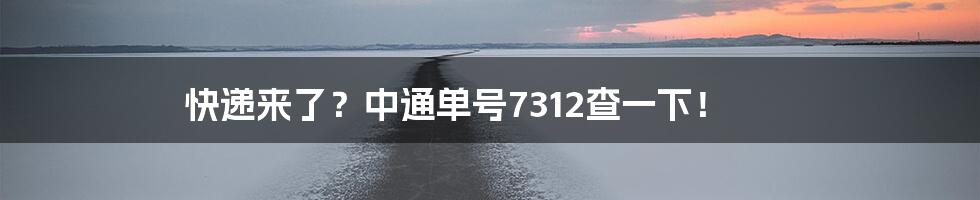 快递来了?中通单号7312查一下!