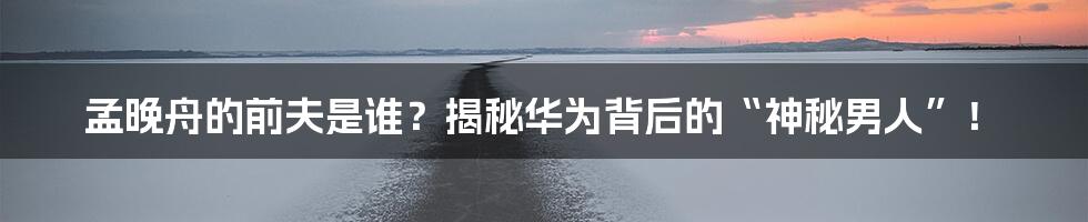 孟晚舟的前夫是谁?揭秘华为背后的“神秘男人”!