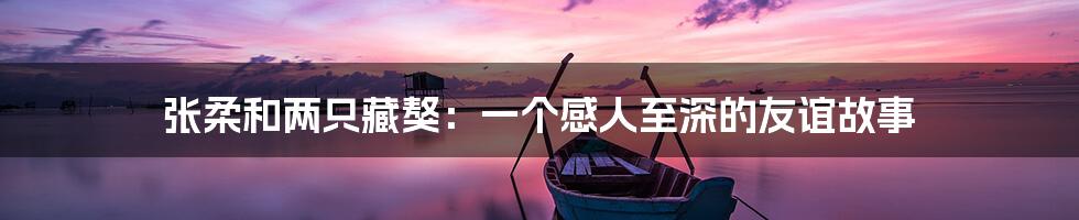 张柔和两只藏獒:一个感人至深的友谊故事
