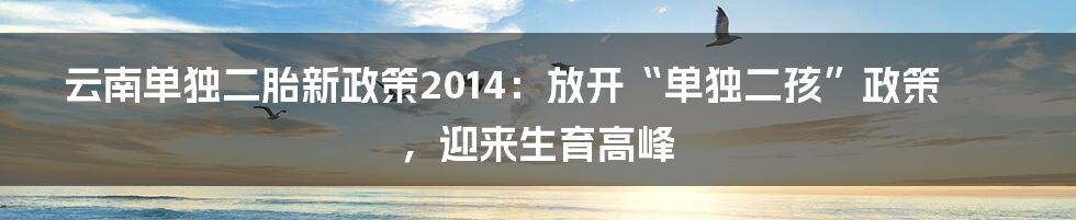 云南单独二胎新政策2014:放开“单独二孩”政策,迎来生育高峰
