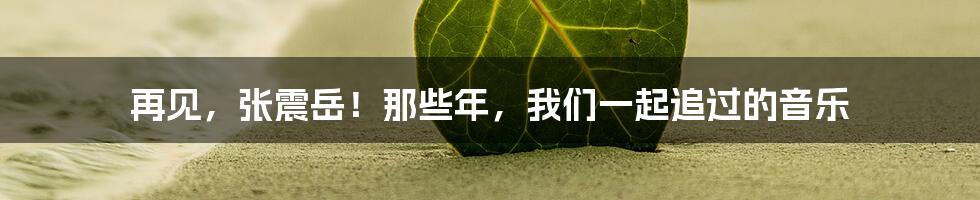 再见,张震岳!那些年,我们一起追过的音乐