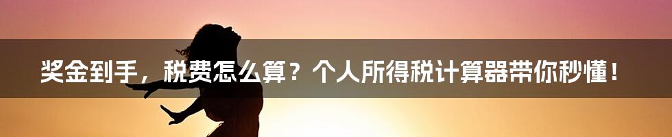 奖金到手,税费怎么算?个人所得税计算器带你秒懂!