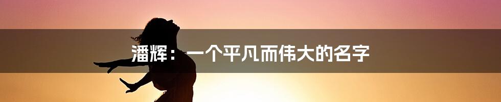 潘辉:一个平凡而伟大的名字
