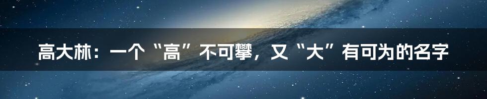高大林:一个“高”不可攀,又“大”有可为的名字