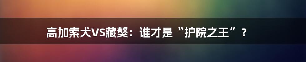 高加索犬VS藏獒:谁才是“护院之王”?