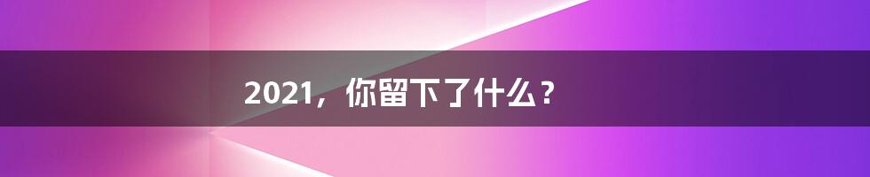 2021,你留下了什么?