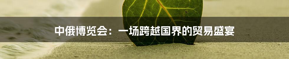 中俄博览会:一场跨越国界的贸易盛宴