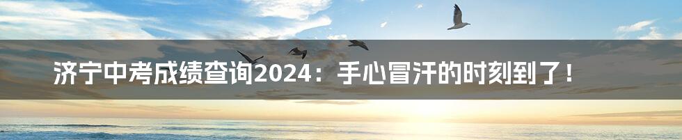 济宁中考成绩查询2024:手心冒汗的时刻到了!