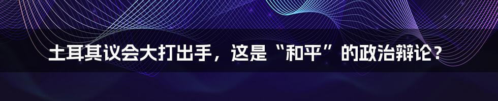 土耳其议会大打出手，这是“和平”的政治辩论？