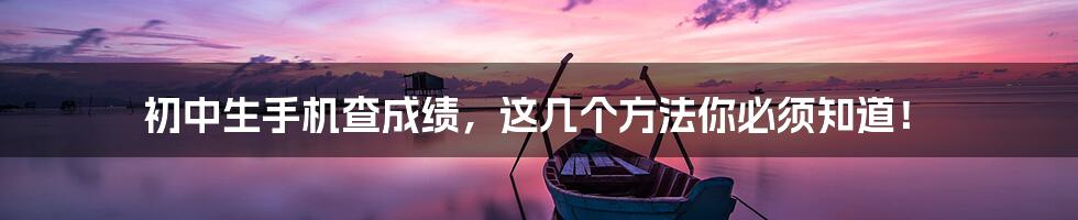 初中生手机查成绩,这几个方法你必须知道!