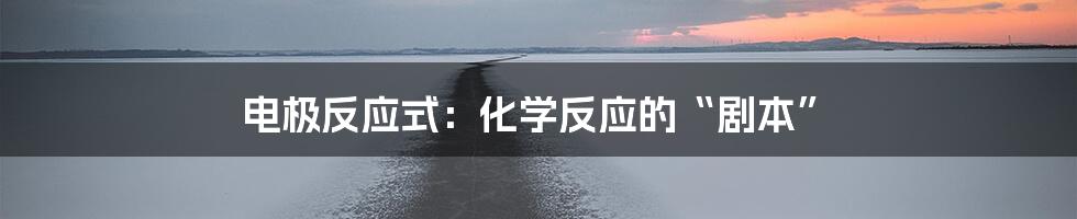 电极反应式:化学反应的“剧本”