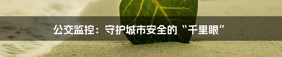 公交监控:守护城市安全的“千里眼”