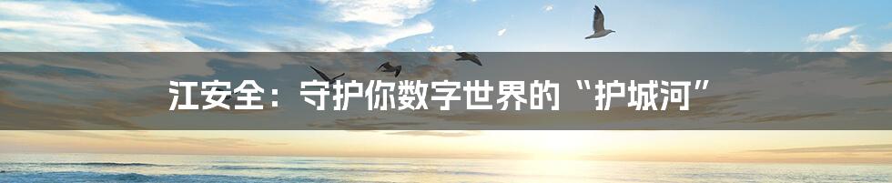 江安全:守护你数字世界的“护城河”