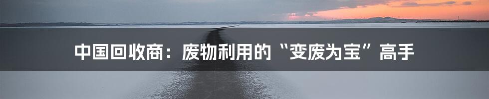 中国回收商:废物利用的“变废为宝”高手