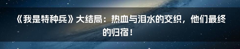 《我是特种兵》大结局:热血与泪水的交织,他们最终的归宿!