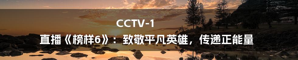 CCTV-1 直播《榜样6》:致敬平凡英雄,传递正能量