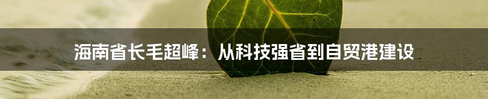 海南省长毛超峰:从科技强省到自贸港建设