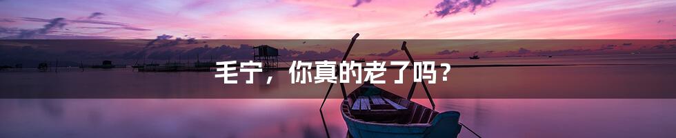 毛宁,你真的老了吗?