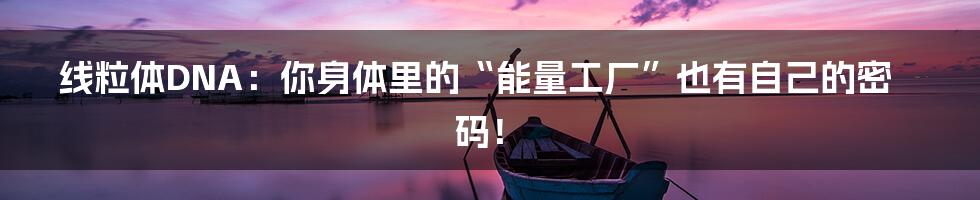 线粒体DNA:你身体里的“能量工厂”也有自己的密码!
