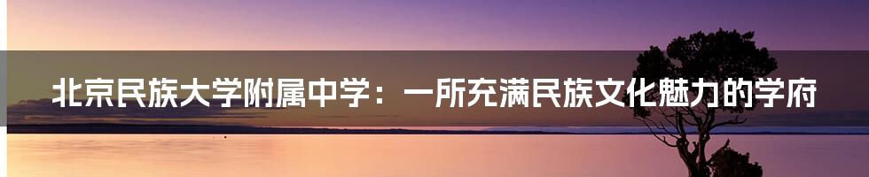 北京民族大学附属中学:一所充满民族文化魅力的学府