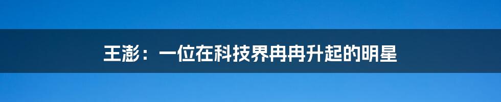 王澎:一位在科技界冉冉升起的明星