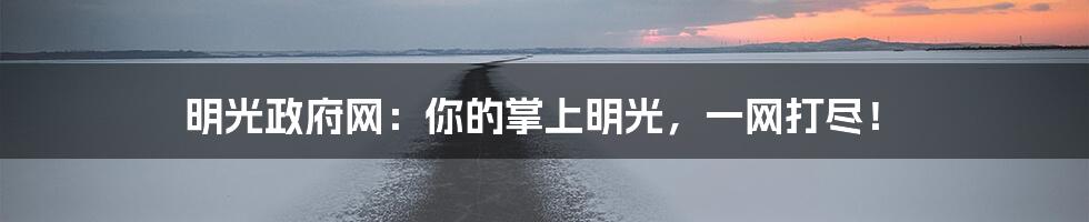明光政府网:你的掌上明光,一网打尽!