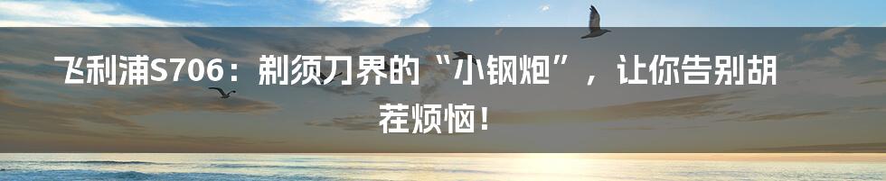 飞利浦S706:剃须刀界的“小钢炮”,让你告别胡茬烦恼!