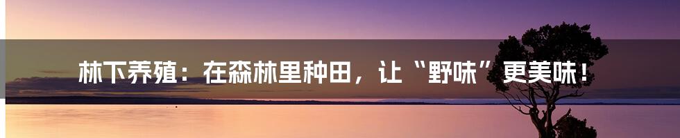 林下养殖:在森林里种田,让“野味”更美味!