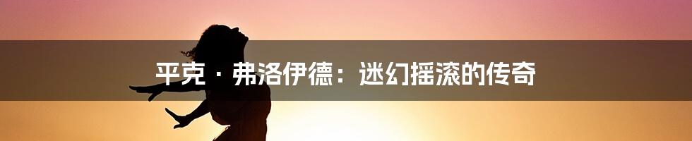 平克·弗洛伊德:迷幻摇滚的传奇
