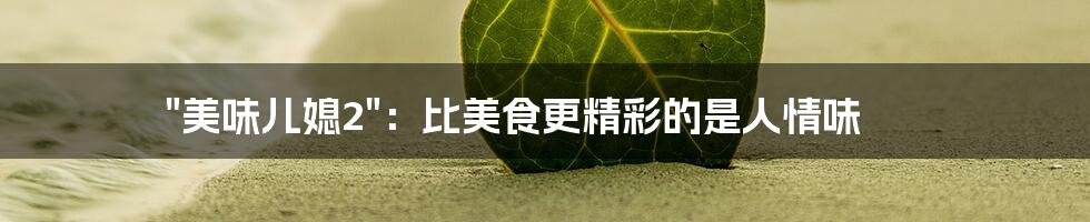"美味儿媳2":比美食更精彩的是人情味